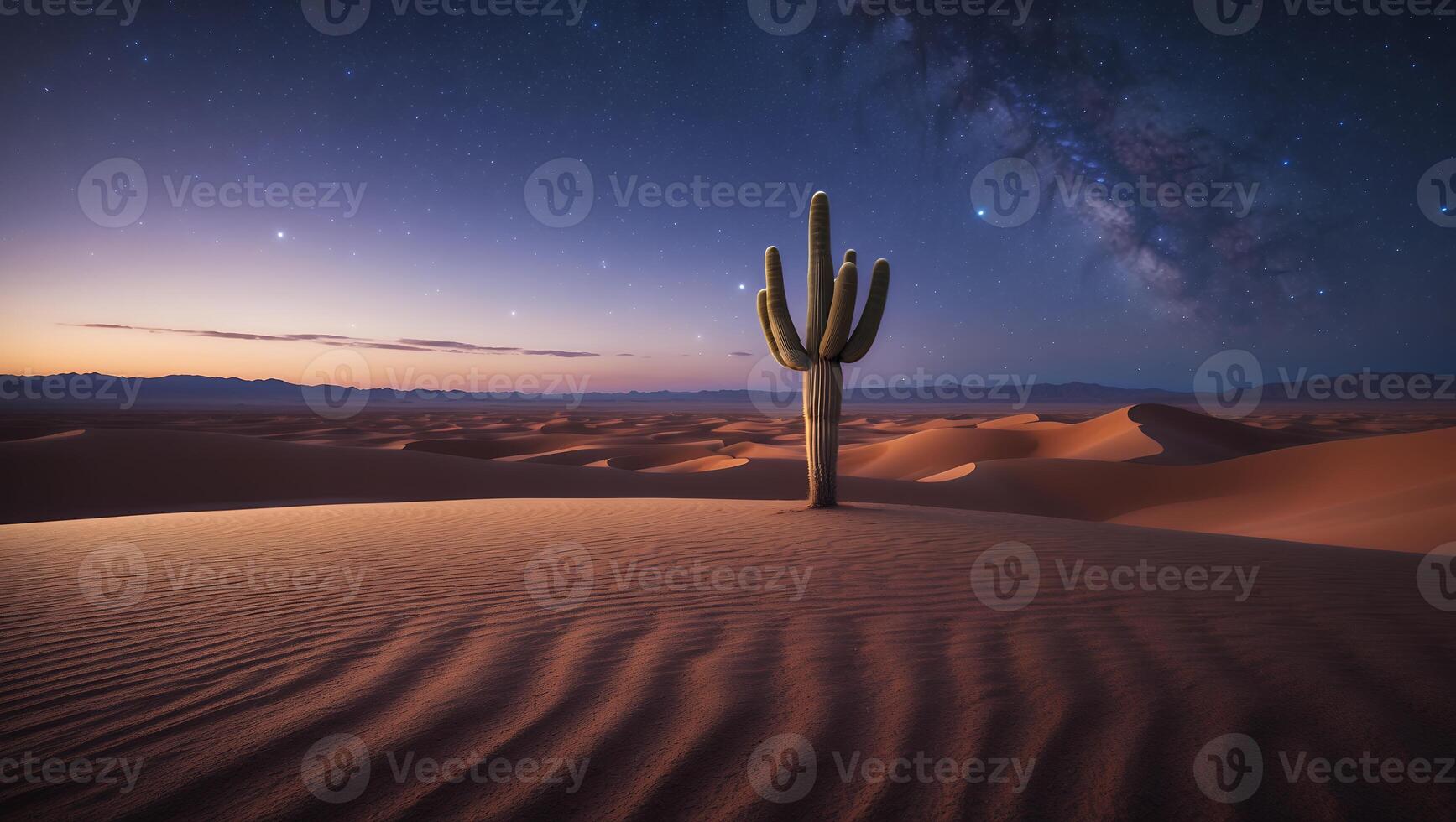 Cactus Standing Tall in Desert Landscape Under a Starry Sky photo