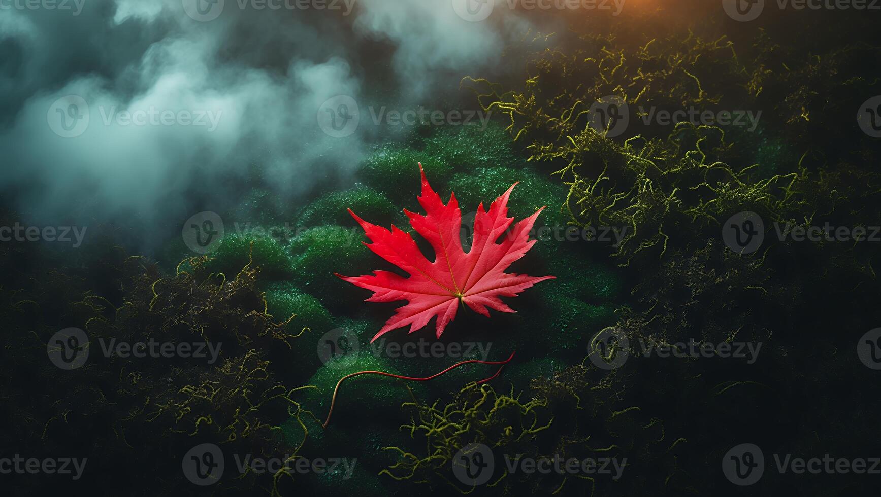 Red Maple Leaf Resting on Mossy Ground with Mist Effect photo