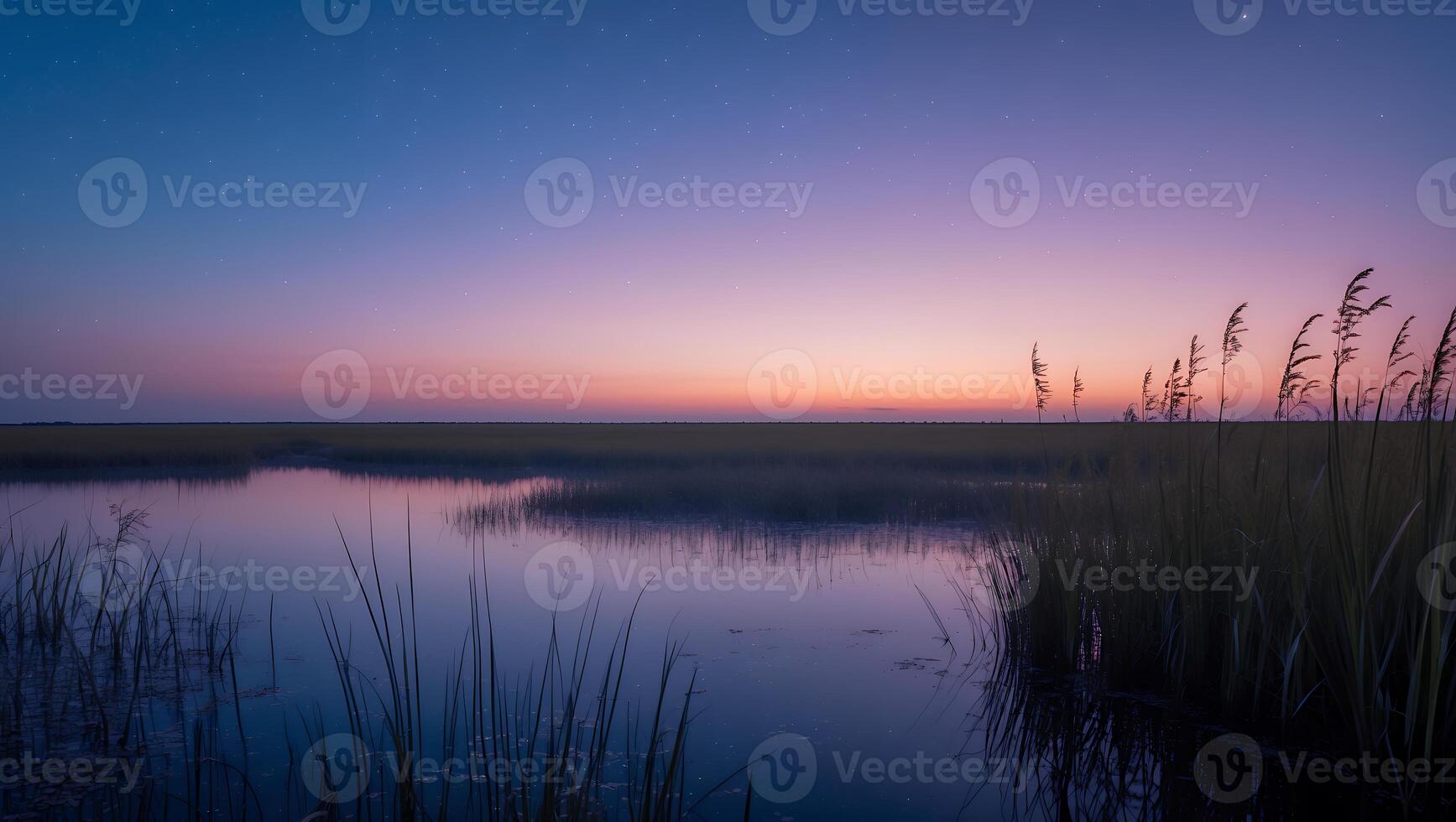 Marsh Landscape at Twilight with Starry Sky and Water Reflection photo