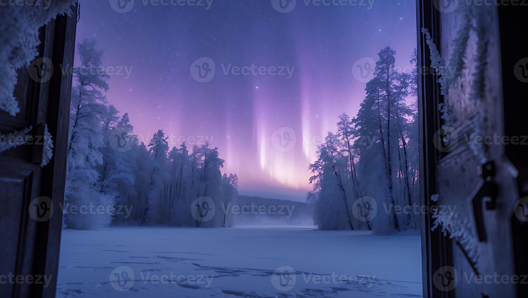 Viewing Winter Aurora Through Open Door in Frozen Forest Landscape photo