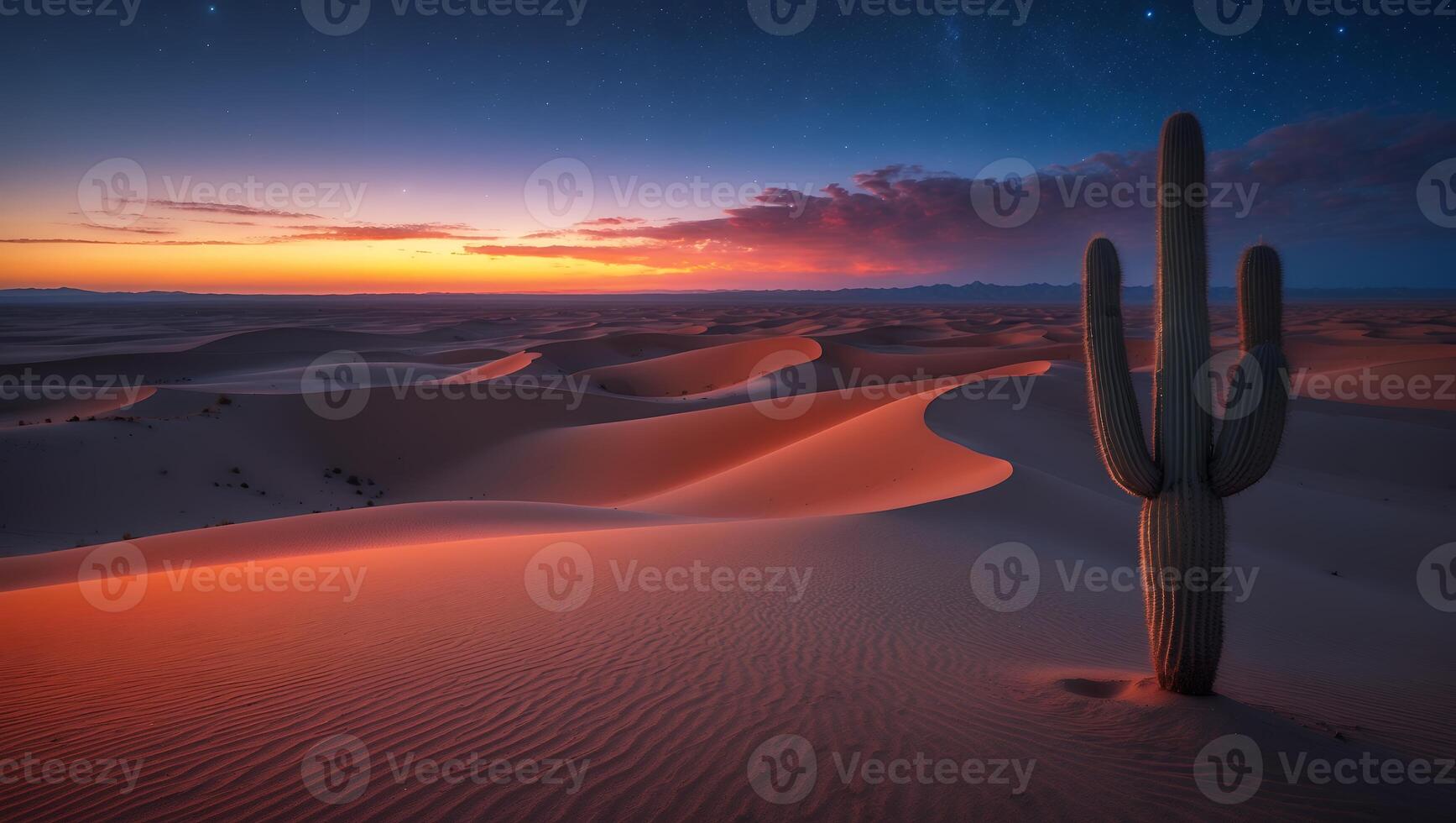 Cactus Standing in Desert Sand Dunes at Colorful Sunrise or Sunset photo