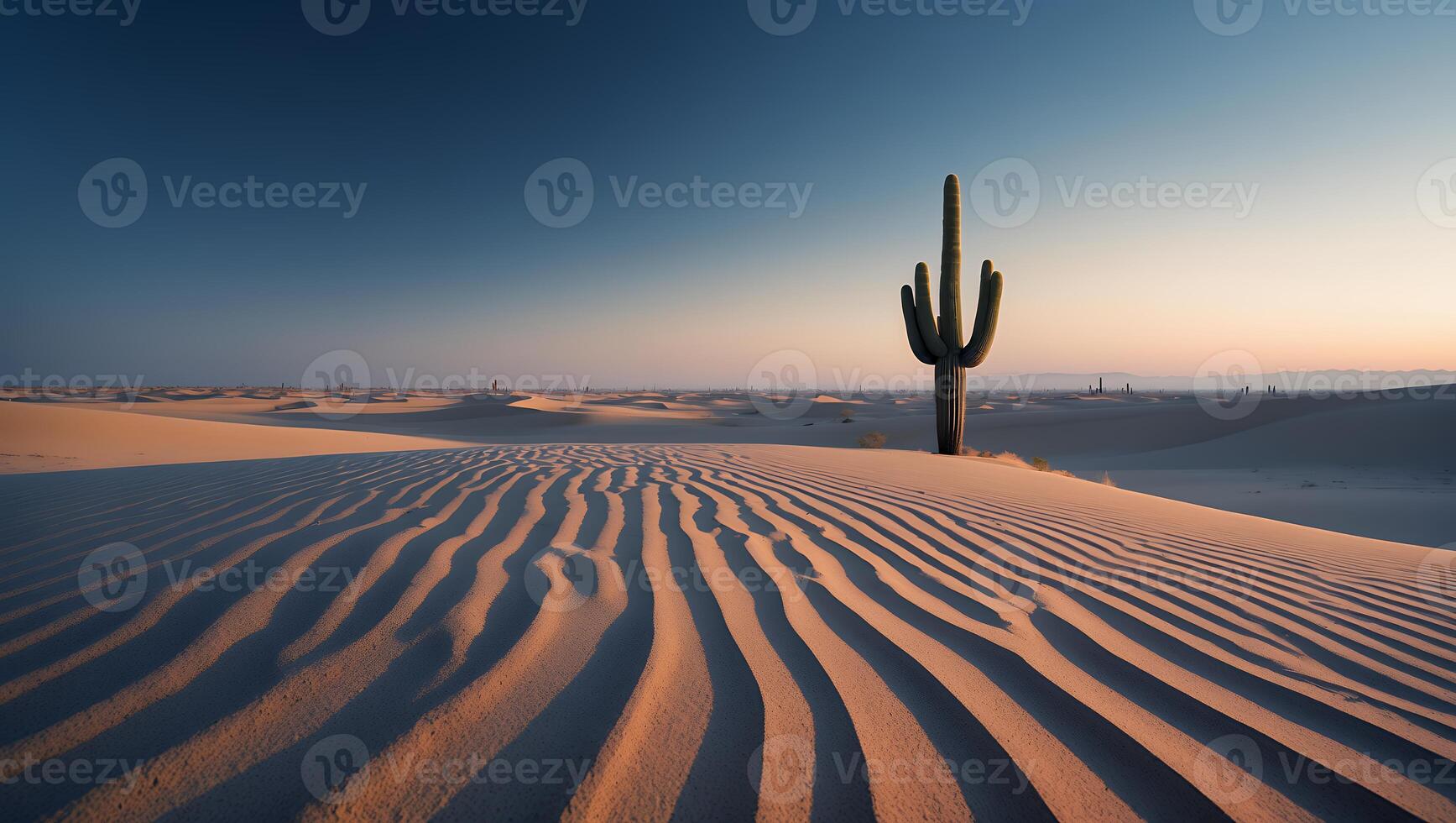 Solitary Cactus in a Vast Desert Landscape with Sand Dune Patterns photo