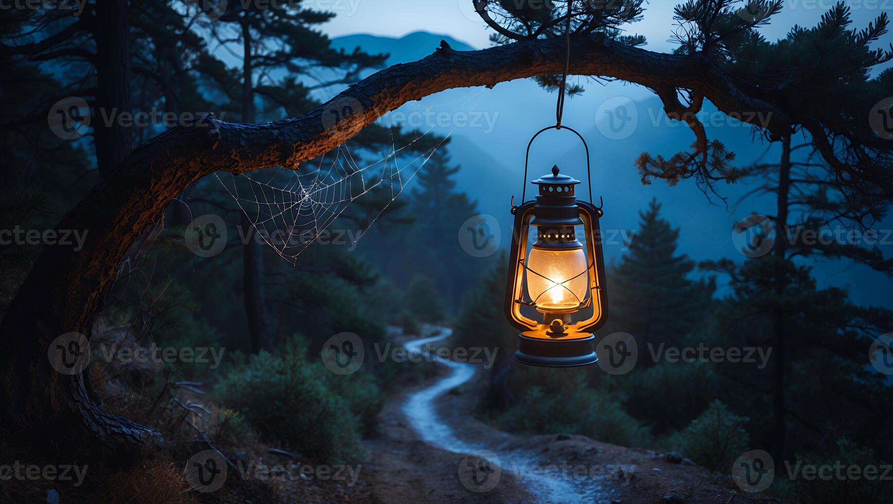 Illuminated Lantern Hanging From Tree Branch Over Path in Forest photo