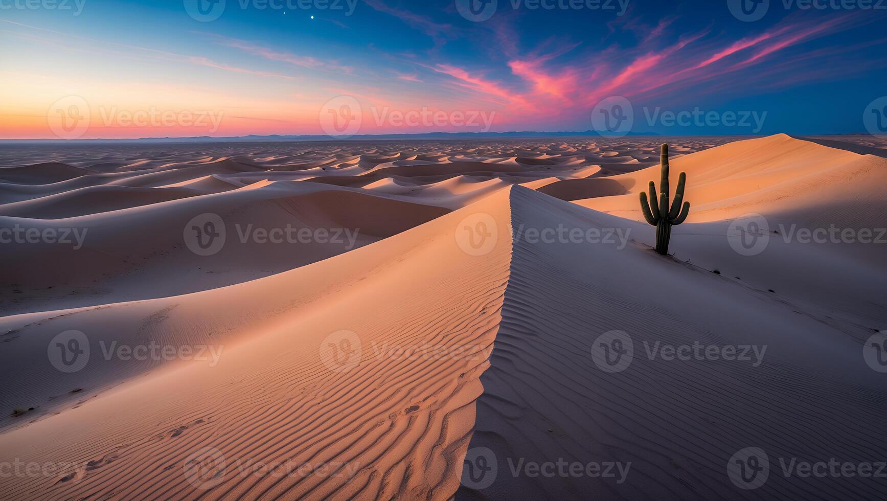 Sand Dune Landscape at Sunset with Cactus and Colorful Sky photo