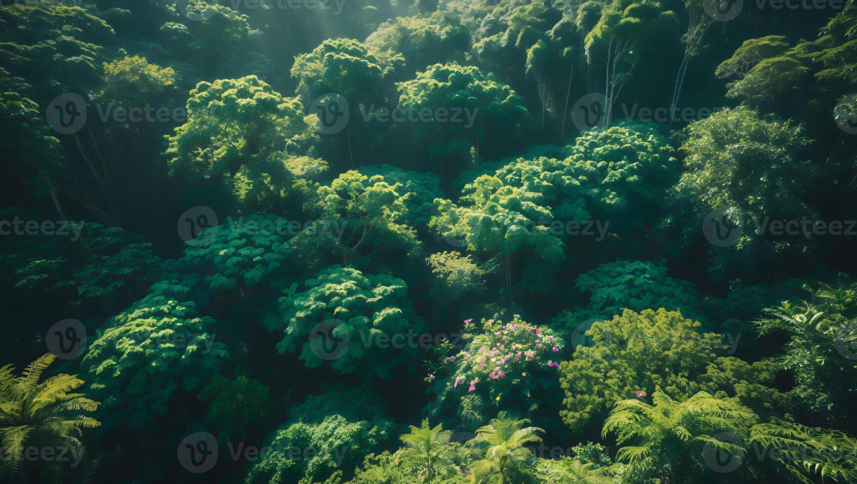 Lush Green Forest Canopy Overhead View with Sunlight Streaming Through photo