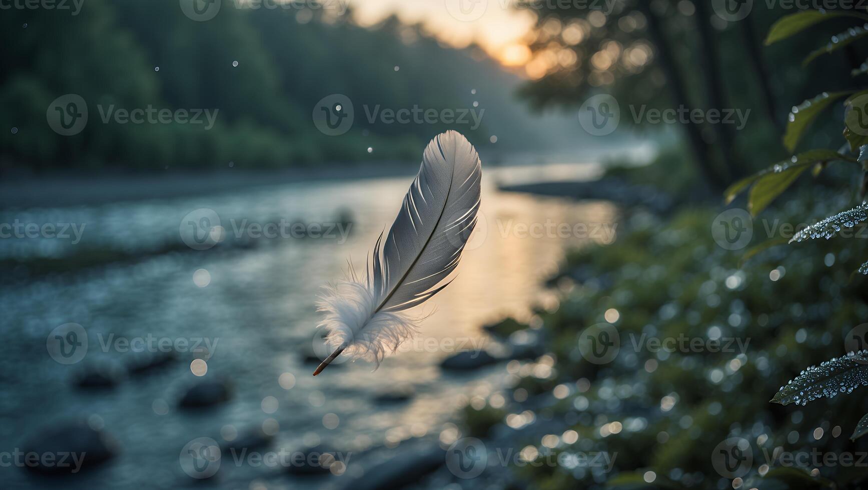 A feather floating in the water near a river photo