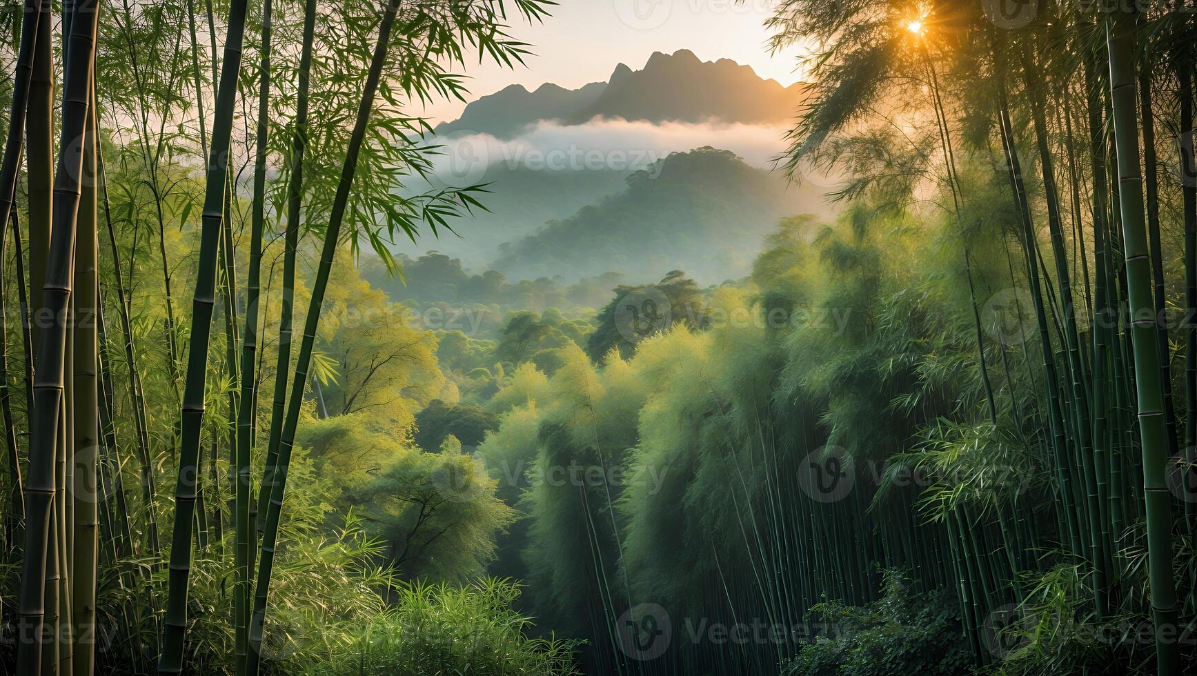 Bamboo Forest with Mountains and Morning Sunlight Creating a Dreamy Landscape photo
