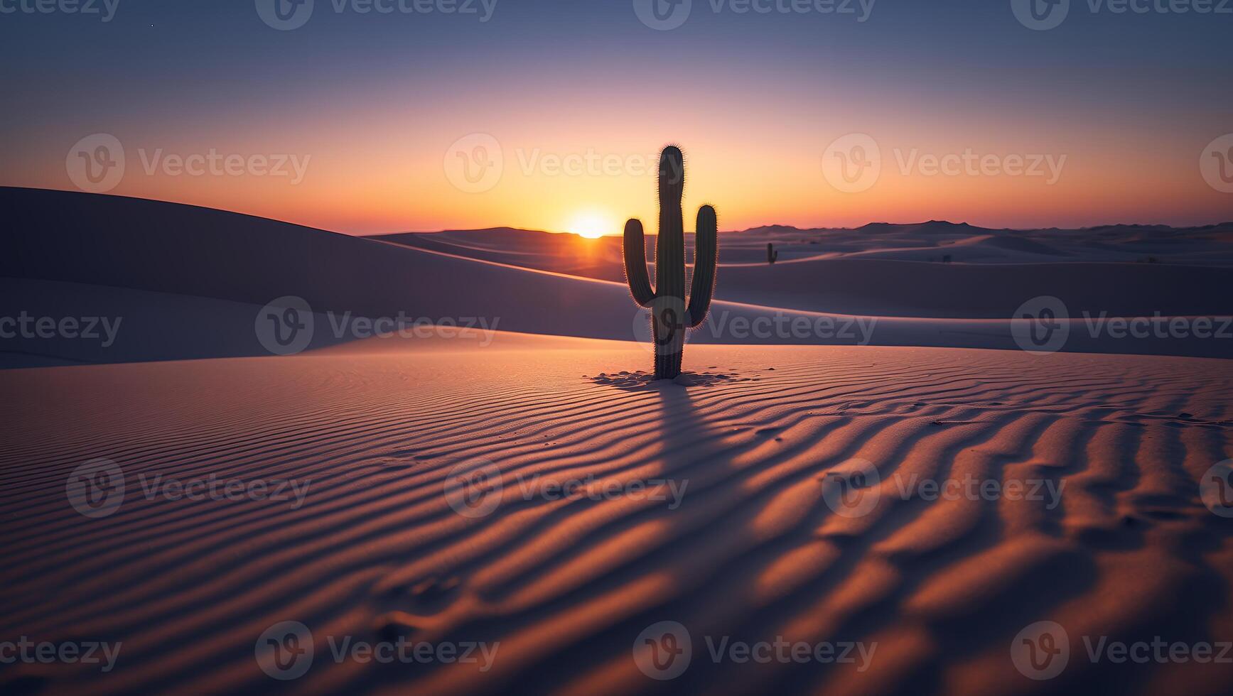 Cactus in Desert at Sunset with Dramatic Sand Dune Patterns photo