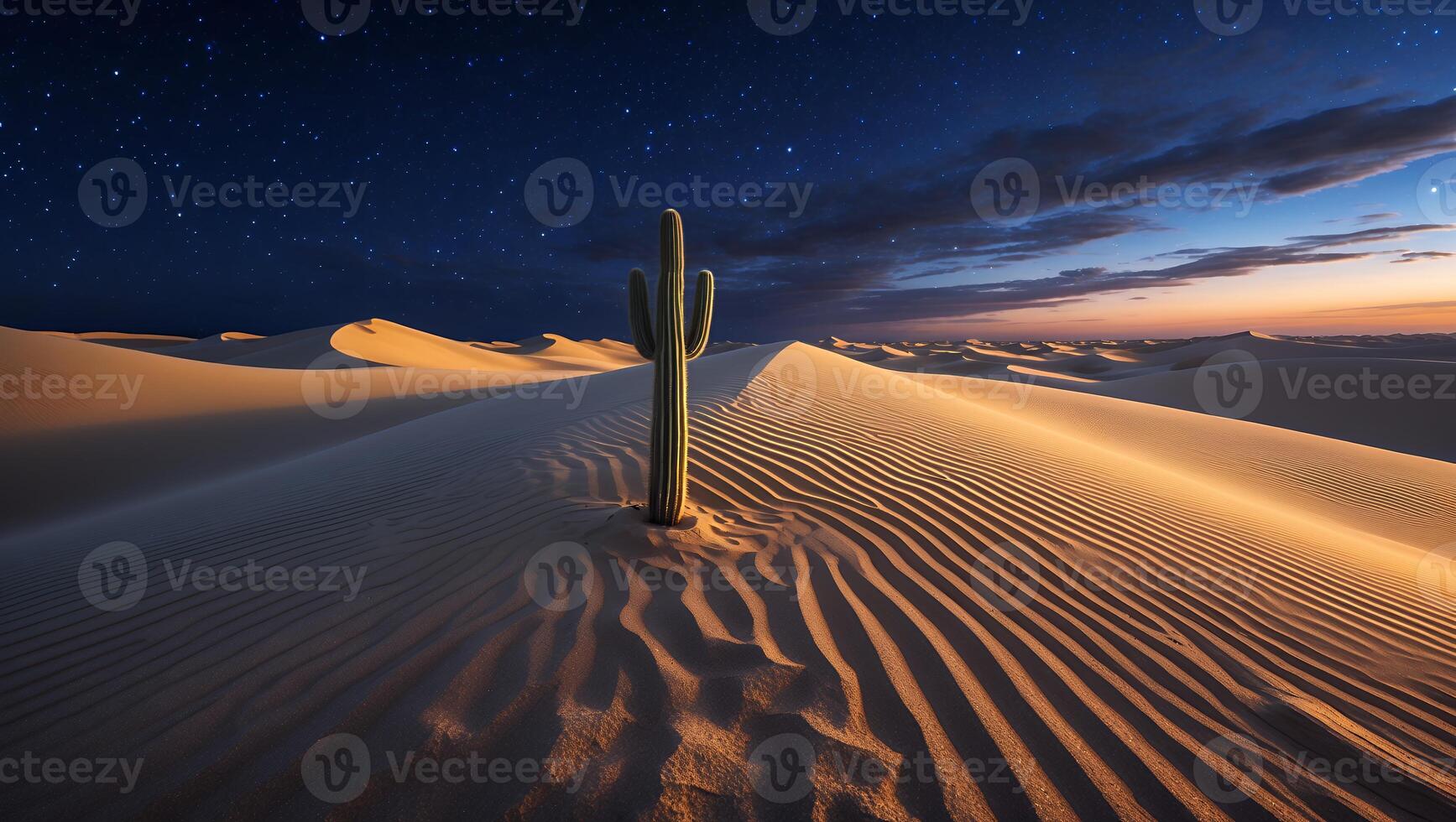 Cactus Standing Tall in Sandy Desert Landscape Under Starry Night Sky photo
