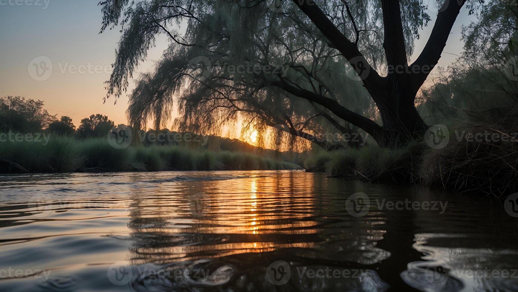 Calm River Flowing Under Weeping Willow at Sunrise with Reflections photo