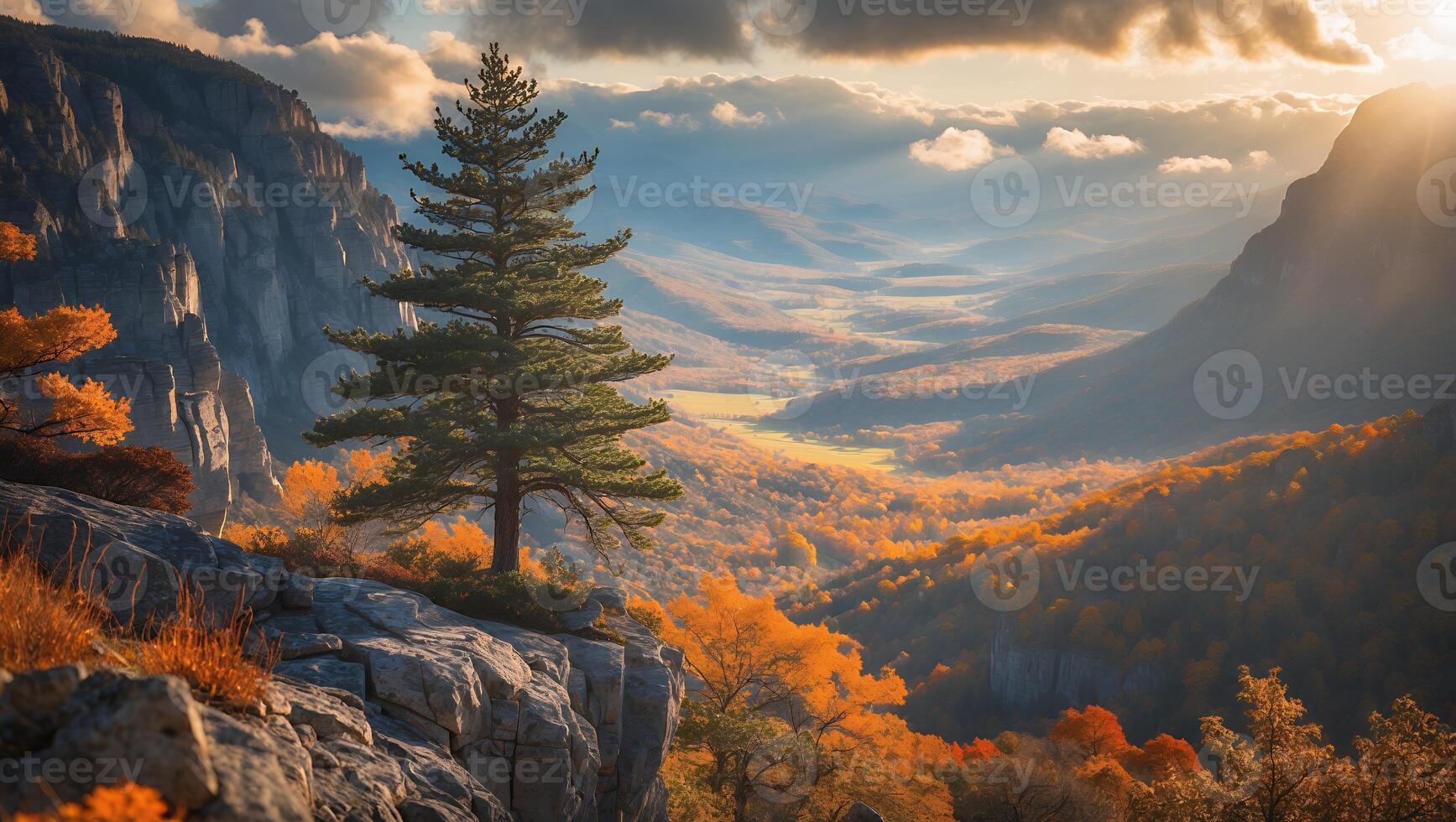 Pine Tree on Rocky Cliff Overlooking Autumn Valley at Sunset photo