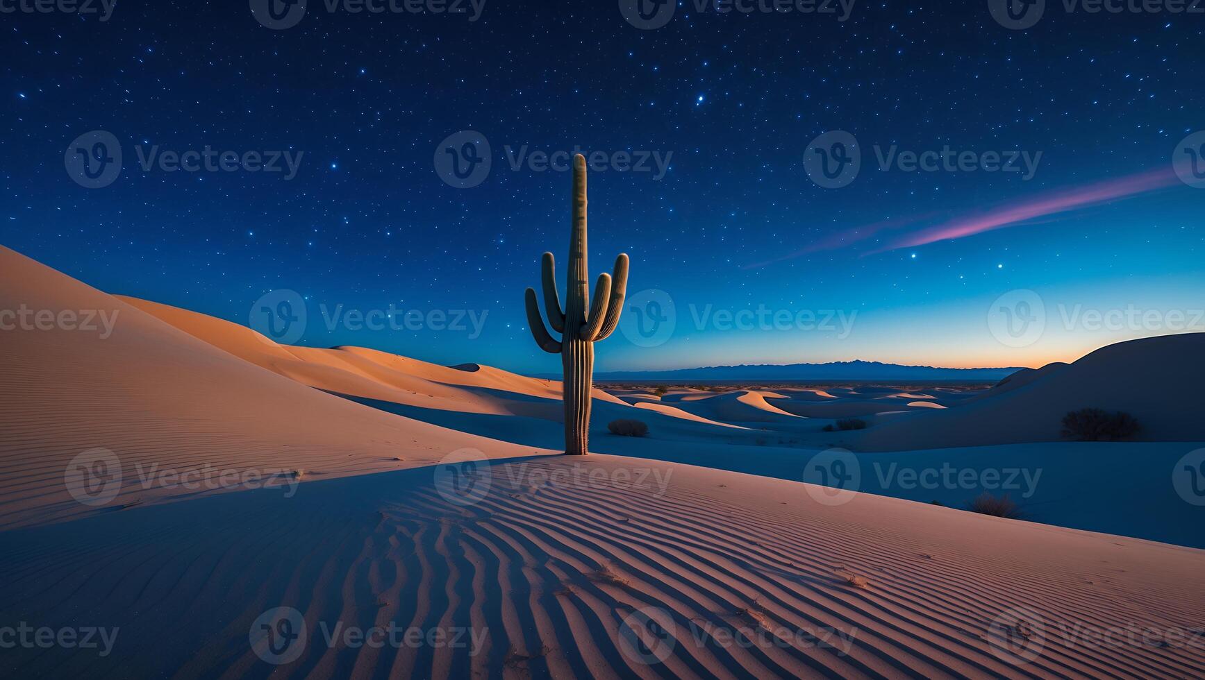 Desert Cactus Under Starry Night Sky with Sand Dune Ripples photo