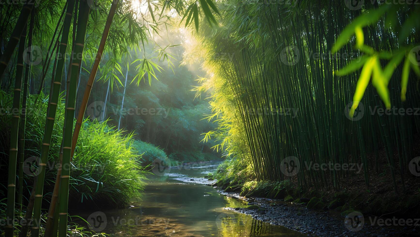 Peaceful Stream Flowing Through a Lush Green Bamboo Forest Scene photo