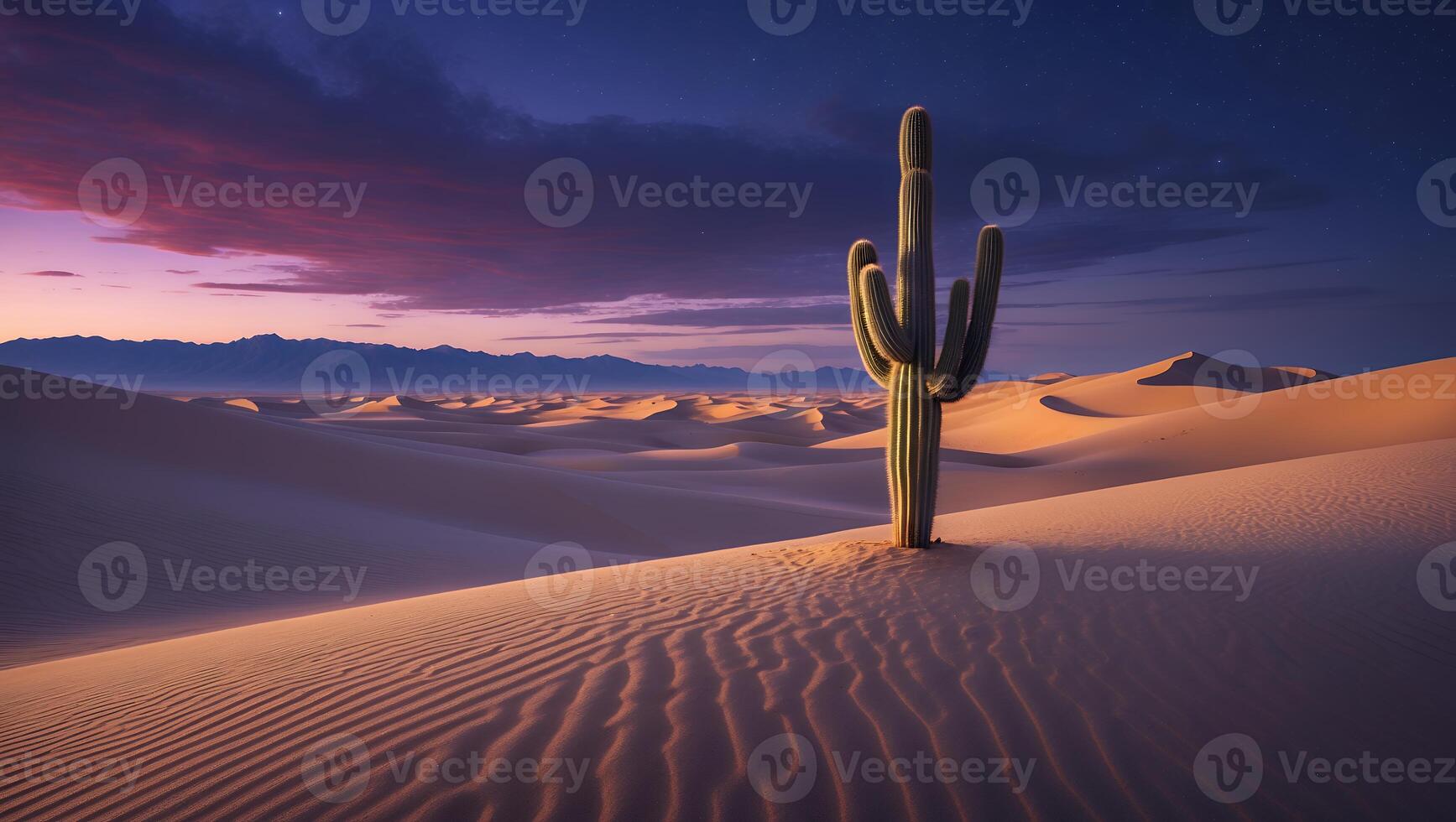 Cactus Standing in Desert Landscape at Sunset with Vibrant Sky photo
