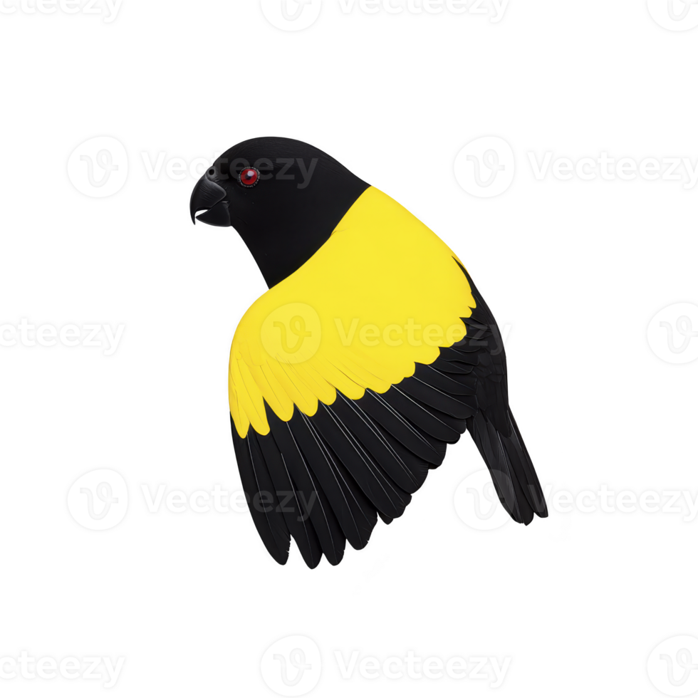 Stylized illustration of bird with striking yellow and black color scheme, featuring red eye, captures attention with its bold contrast and simplicity png