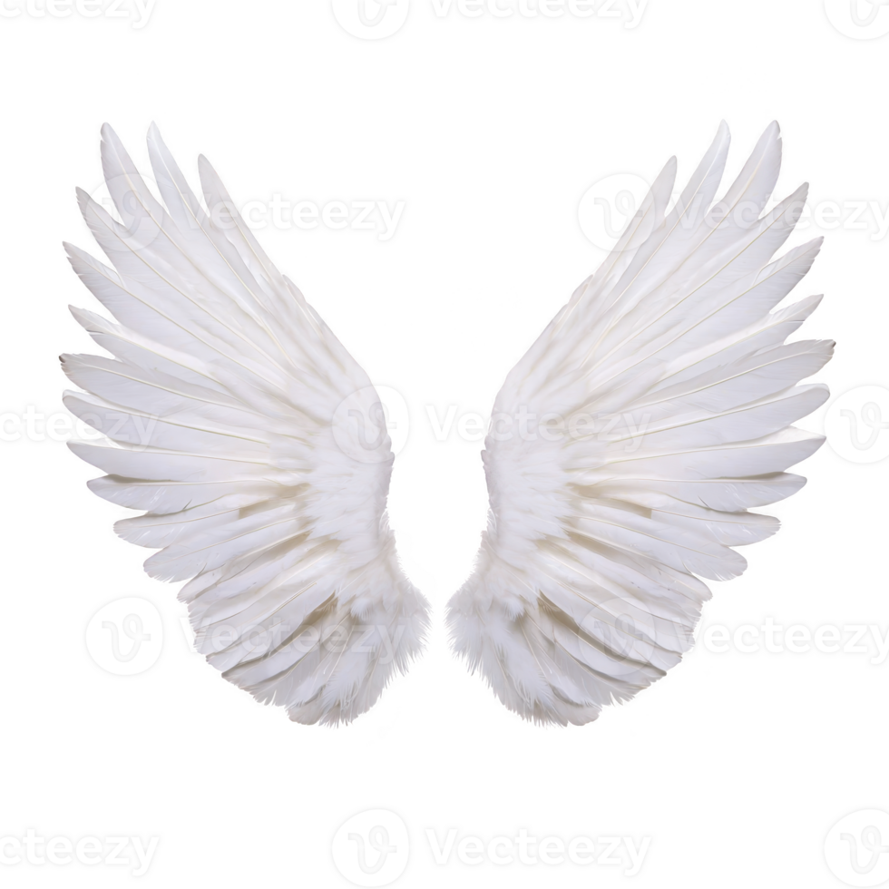 White angel wings with detailed feathers on transparent background, symbolizing purity and freedom. wings are symmetrical and appear soft and ethereal, evoking sense of peace png