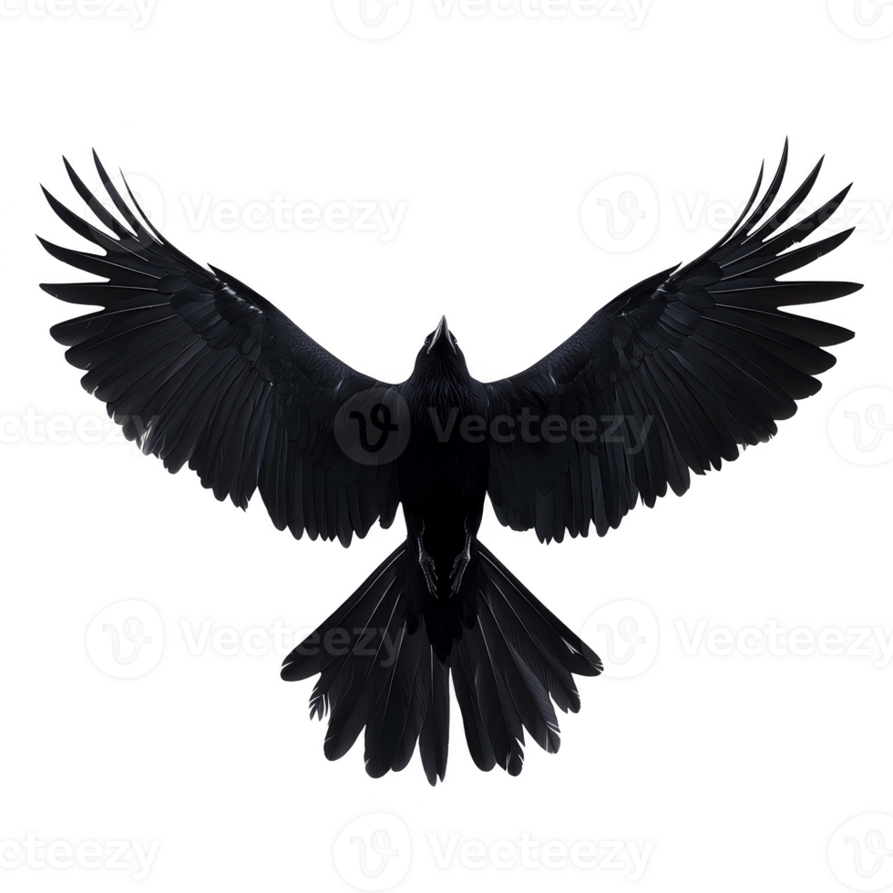 Silhouette of bird in flight with wings fully spread, showcasing its majestic form against plain background. image captures grace and power of bird mid air png