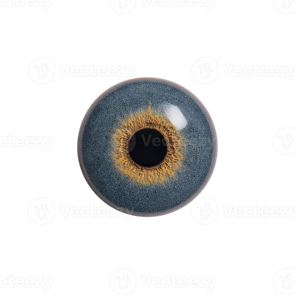 Detailed close up of blue and amber eye iris, showcasing intricate patterns and textures. vibrant colors and unique design create captivating and mesmerizing effect png