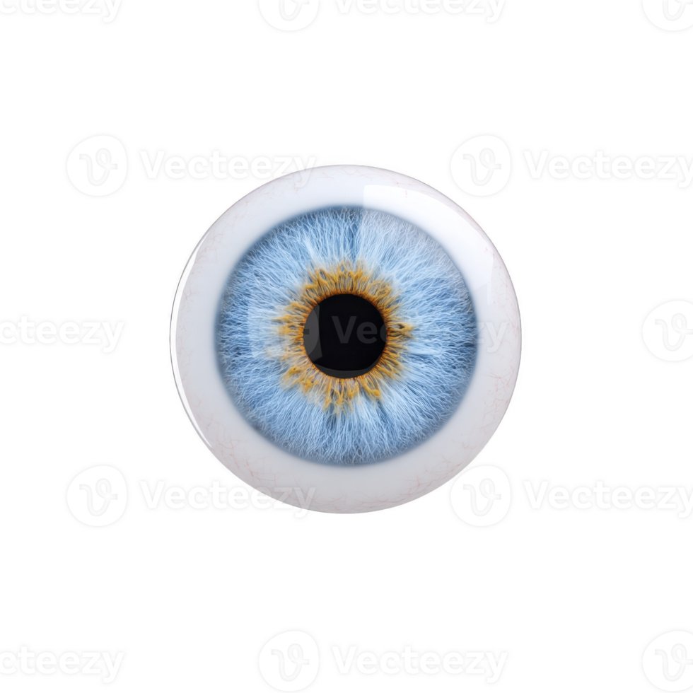 Detailed close up of blue human eye with striking pattern and vibrant colors, isolated on transparency background. image highlights intricate details of iris and pupil png