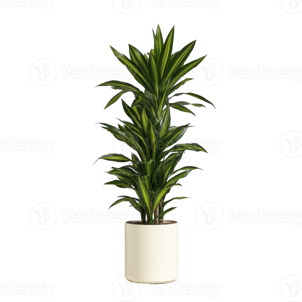 Vibrant green indoor plant with long, pointed leaves sits in simple white pot, adding touch of nature and freshness to any space. plant lush foliage creates calming atmosphere png