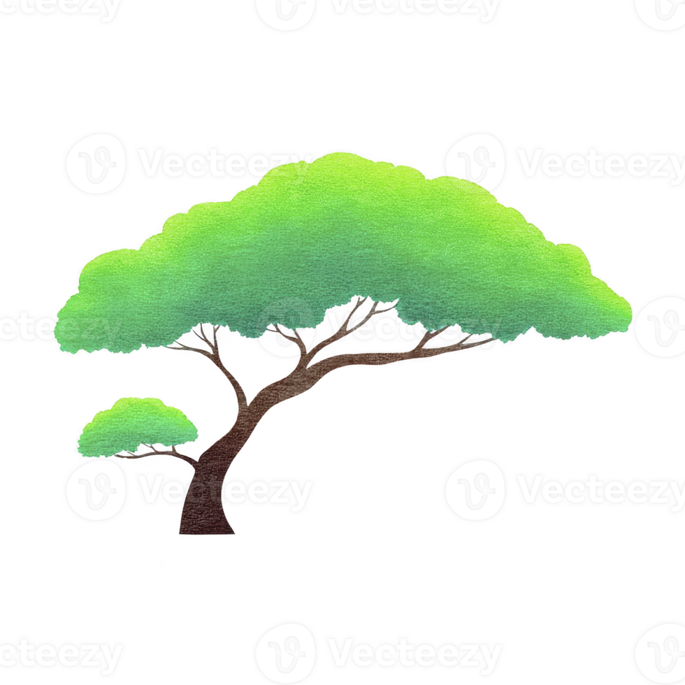 Stylized illustration of tree with thick trunk and vibrant green foliage, evoking sense of tranquility and nature. tree canopy is lush and expansive, suggesting growth and vitality png
