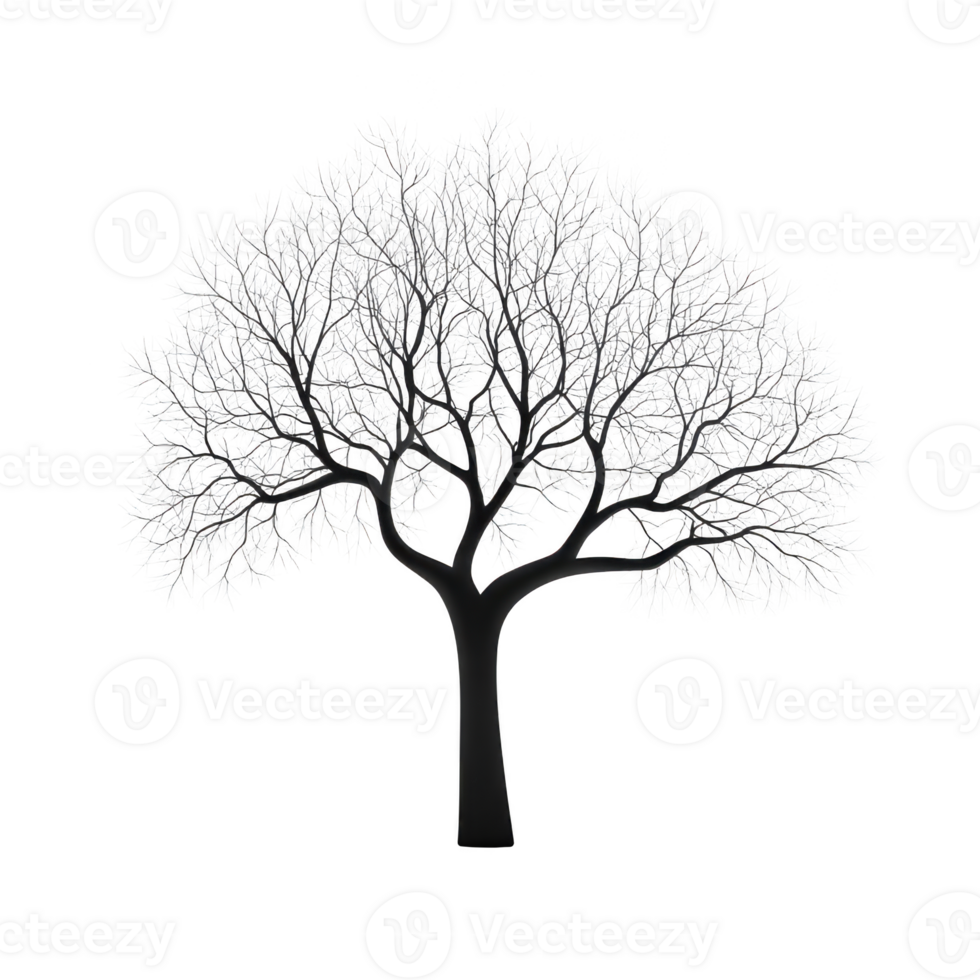 Detailed illustration of leafless tree with intricate branches, set against transparent background, showcasing symmetrical and artistic design png