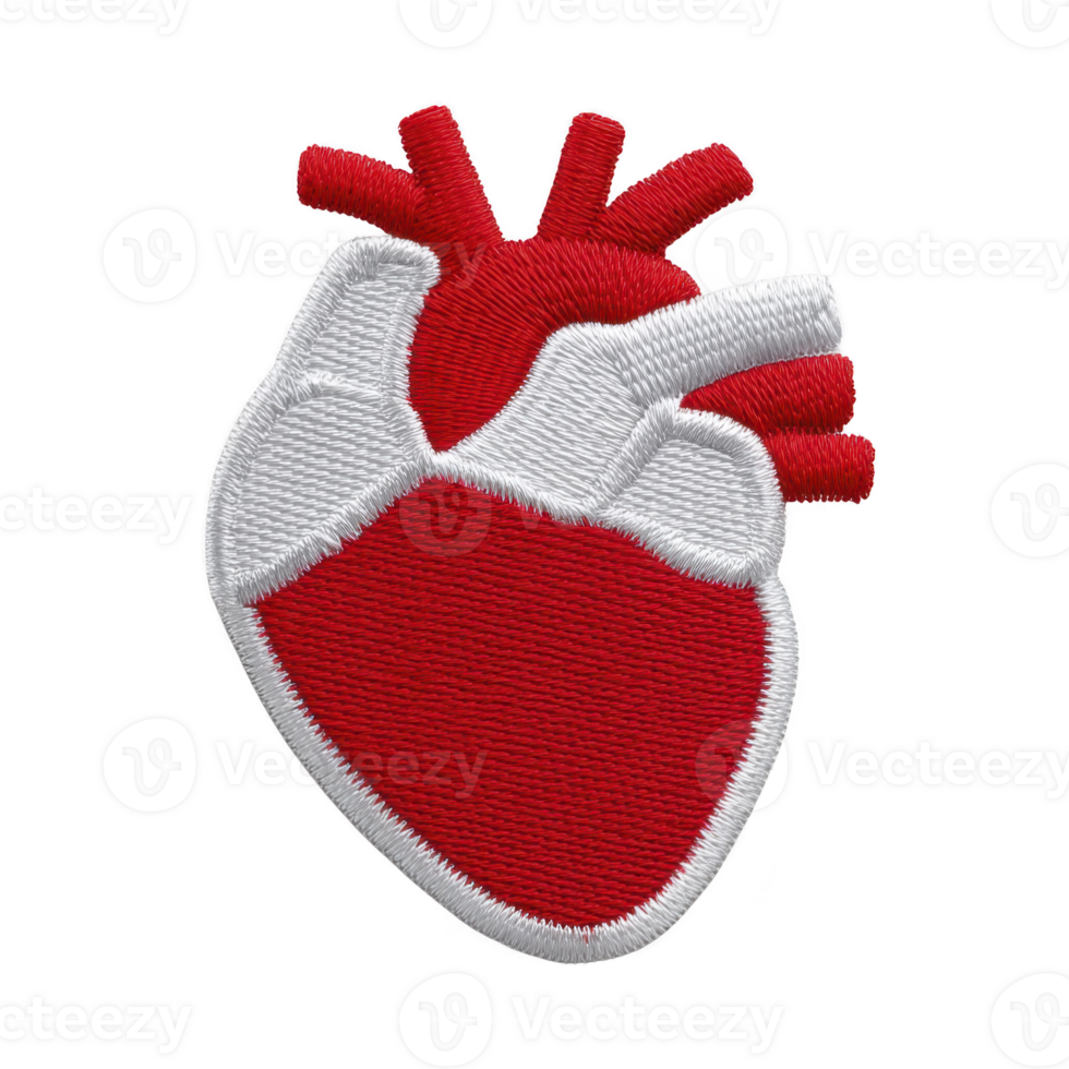 Vibrant embroidered patch depicting stylized anatomical heart red and white, showcasing intricate stitching details. design is bold and eye catching, perfect for adding unique touch to clothing png