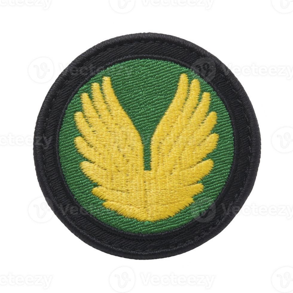 This shows circular embroidered patch featuring yellow wings on green background, bordered by black edge. design is simple and symmetrical, conveying sense of freedom and flight png
