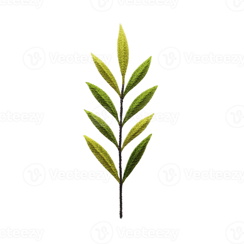 Single green leaf branch with multiple leaves arranged symmetrically on transparency background, showcasing natural and minimalist design png
