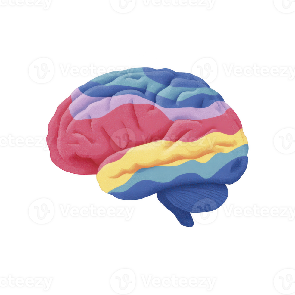 Colorful, abstract illustration of human brain with vibrant layers in red, blue, yellow, and purple, symbolizing creativity and diversity in thought processes png
