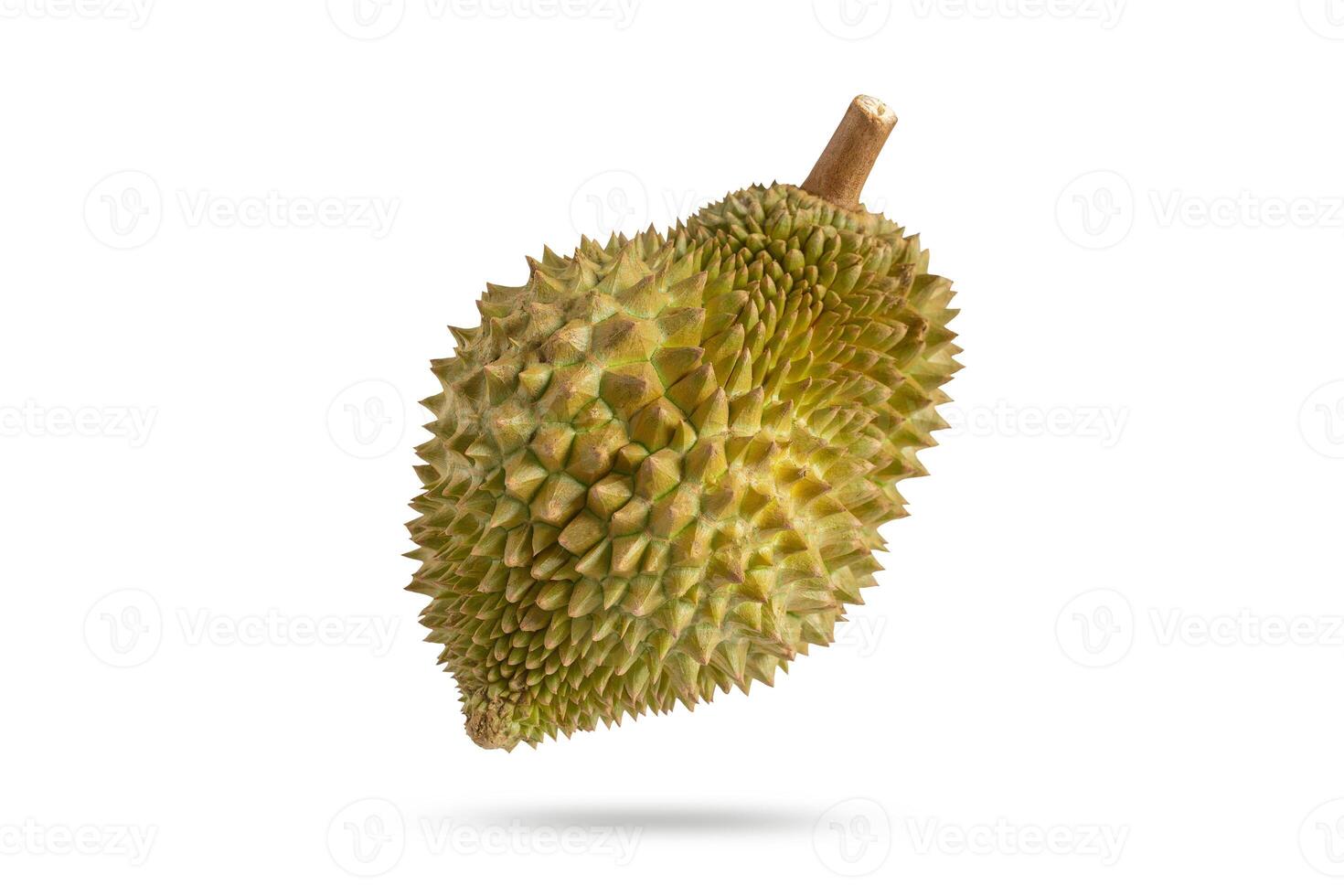 Durian on a white background. Durian fruit isolated on white. photo