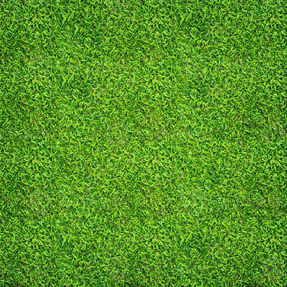 Green grass background. Green lawn pattern and texture. Close up. photo