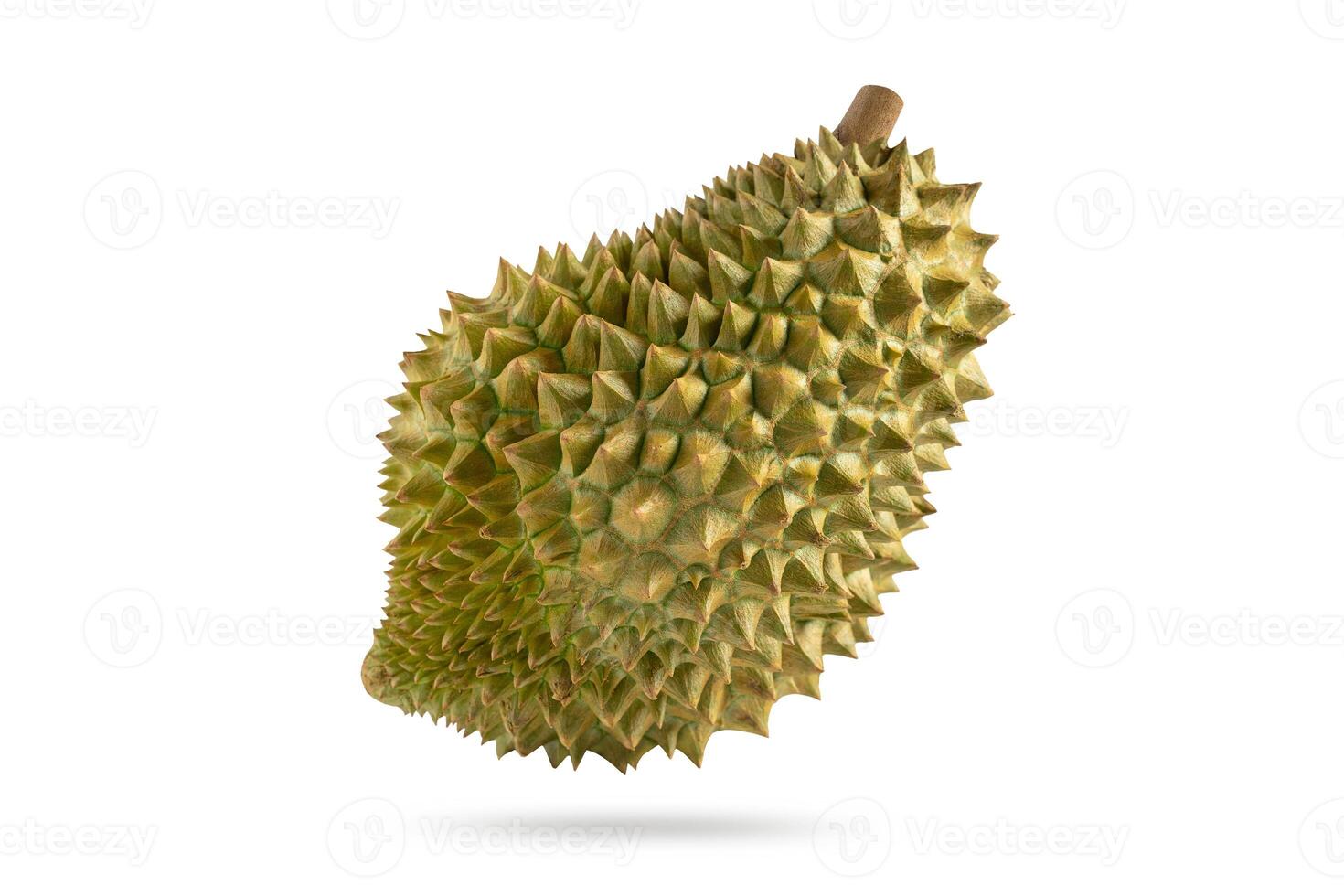 Fresh durian on white background. Durian fruit isolated. photo