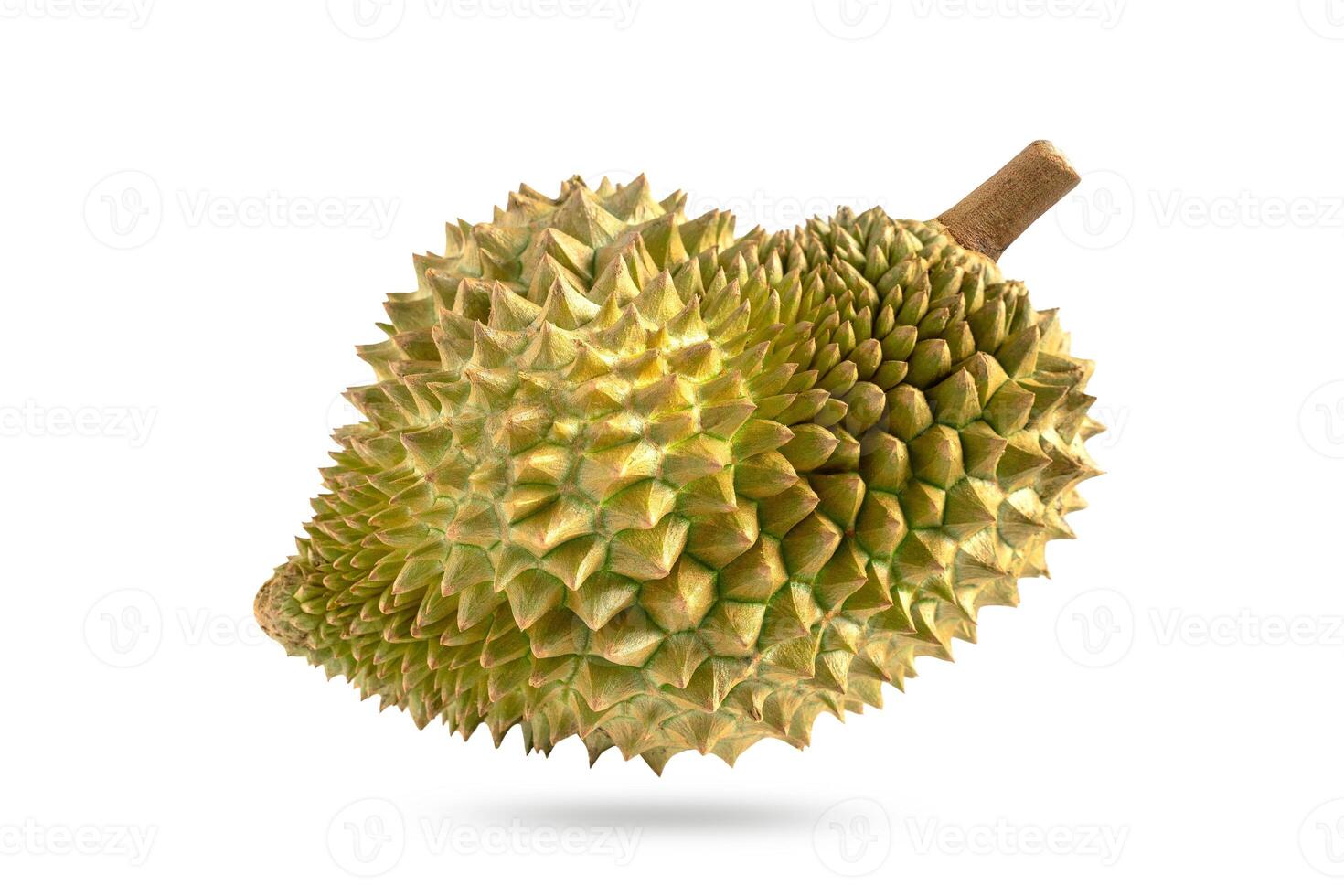 Durian on a white background. Durian fruit isolated on white with clipping path. photo