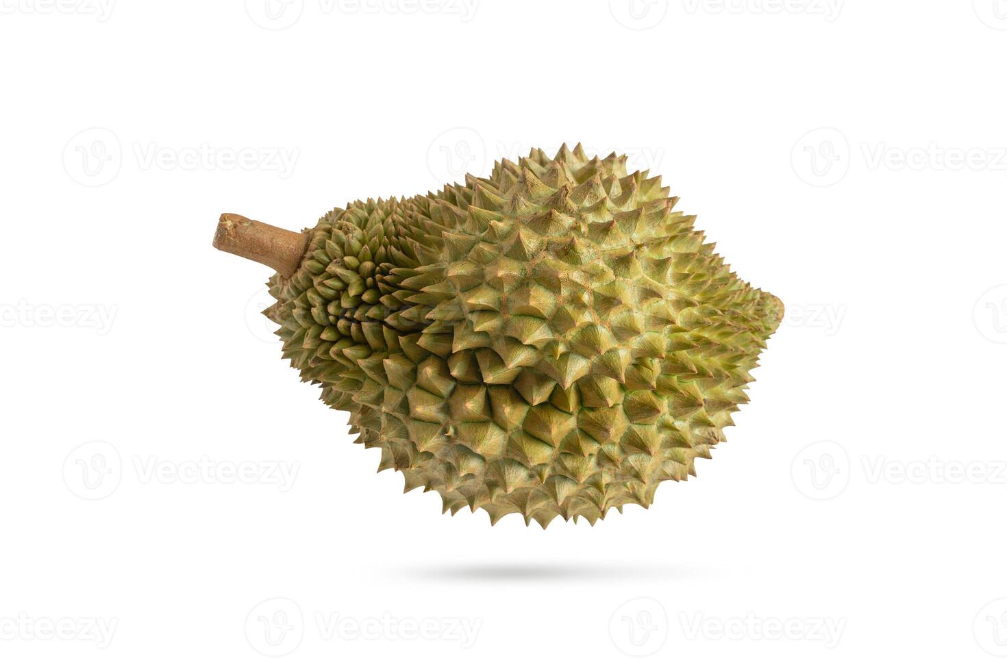Fresh durian on a white background. Durian fruit isolated. photo