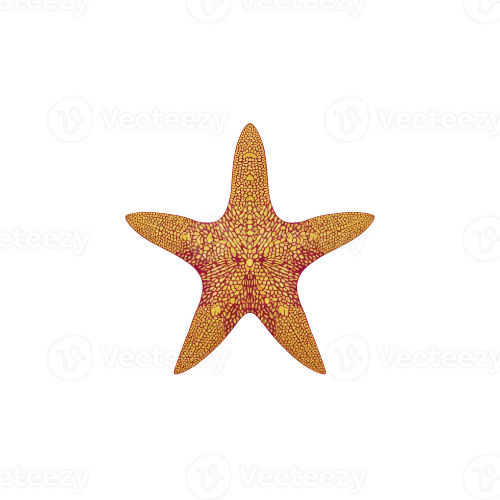 Vibrant orange starfish with intricate patterns on its surface, isolated on transparency background, showcasing its natural beauty and unique texture png