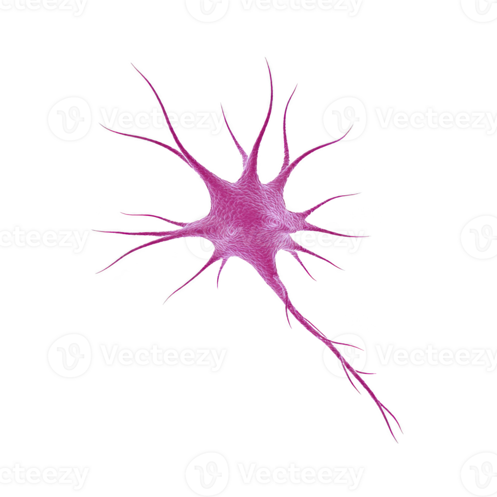 Detailed illustration of pink neuron with branching dendrites and long axon, showcasing complexity of neural structures. image highlights intricate design of nerve cells png