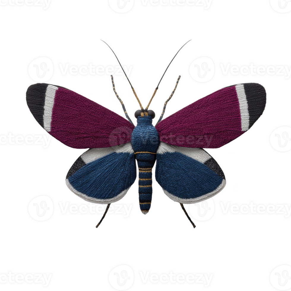 Colorful moth with vibrant magenta and blue wings, featuring distinct white bands, is displayed against plain background. intricate patterns and vivid colors create striking visual png