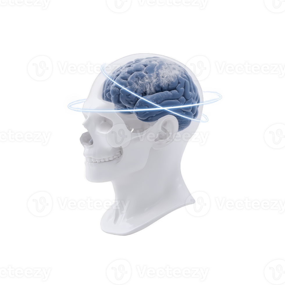 3D illustration of human skull with visible brain, surrounded by orbiting lines, symbolizes concept of mental processes and cognitive functions png