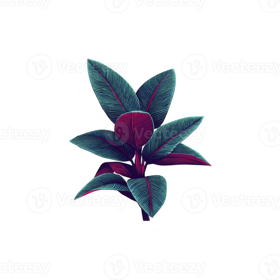 Vibrant, digitally illustrated plant with teal and magenta leaves, showcasing modern and artistic style. striking colors and intricate details create captivating visual effect png
