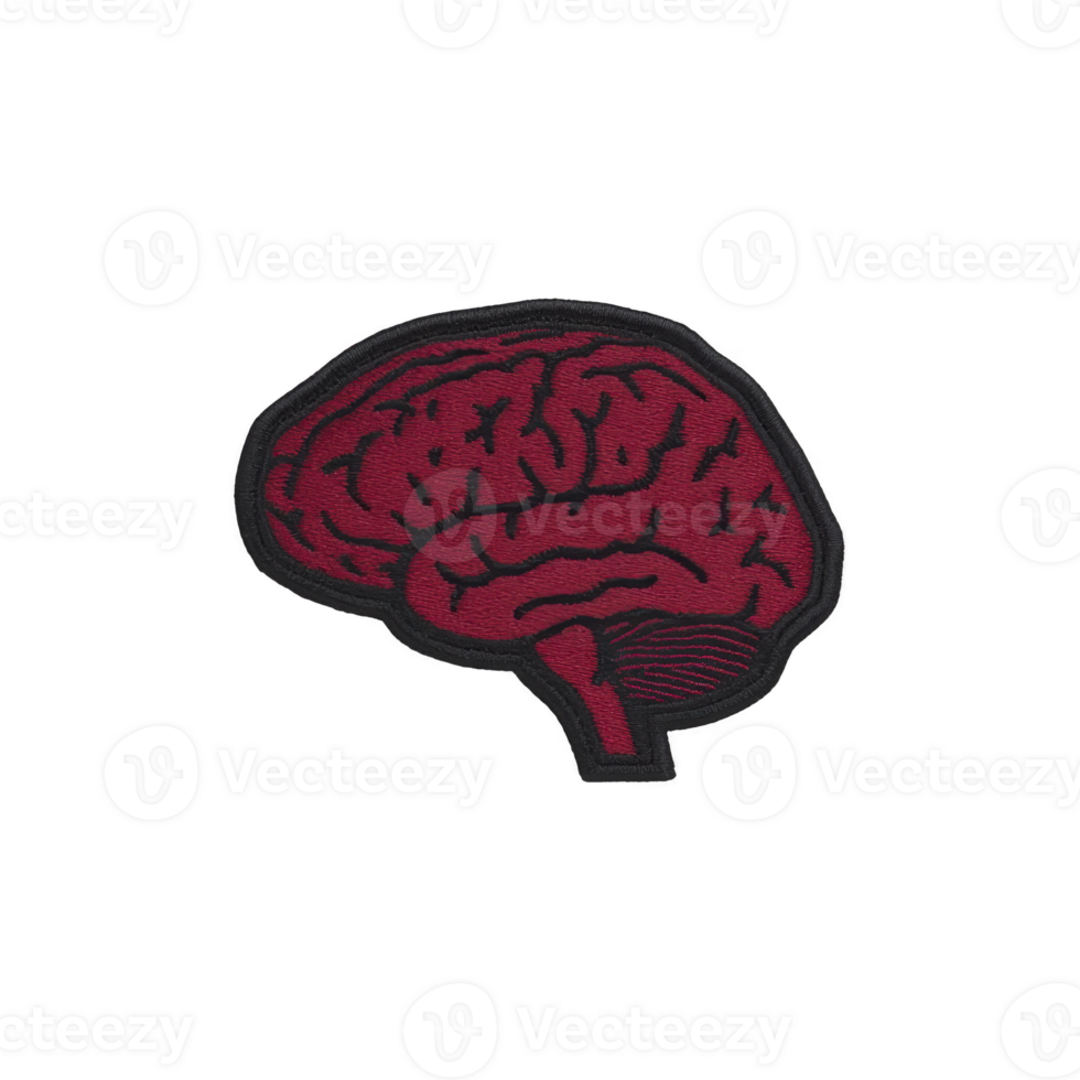 Detailed illustration of human brain in red, showcasing intricate patterns and textures, set against plain background. design emphasizes complexity and beauty of brain structure png