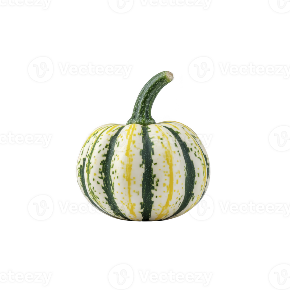Small, round pumpkin with green and yellow stripes on transparency background, isolated on white surface. pumpkin stem is curved and green, adding natural touch png