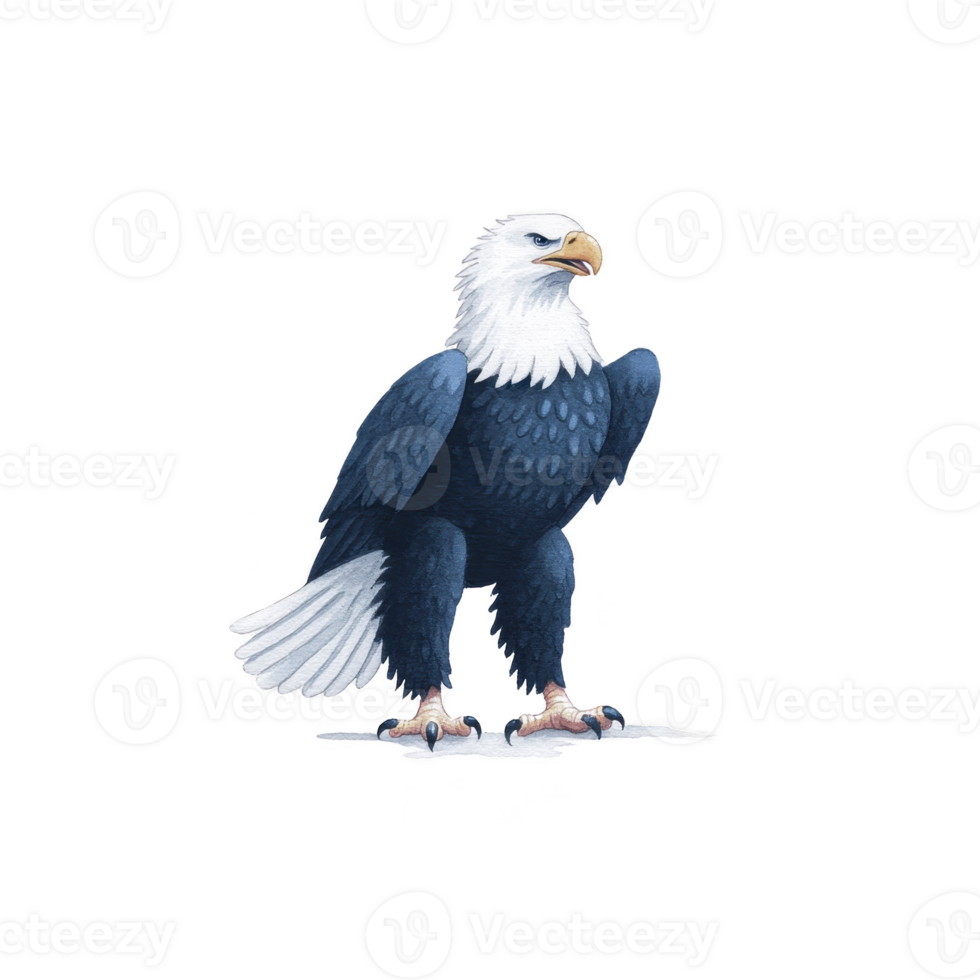 Majestic bald eagle stands proudly with its striking white head and dark body, symbolizing strength and freedom. Its sharp gaze and powerful stance convey sense of authority png