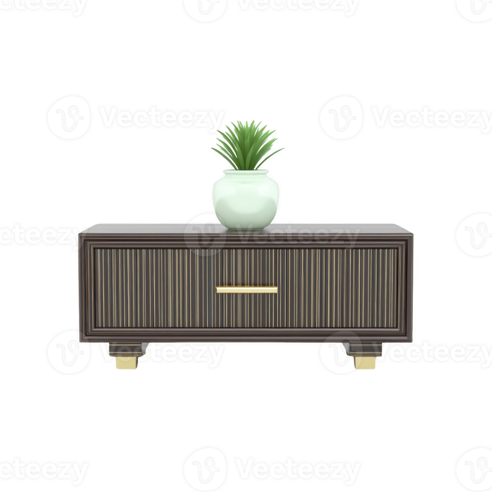 Modern wooden cabinet with single drawer and gold accents is topped with small green potted plant, creating stylish and minimalist decor piece png