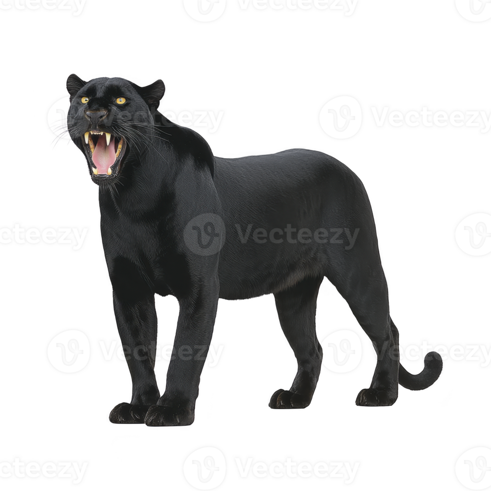 Fierce black panther stands with its mouth open, showcasing sharp teeth and powerful stance. sleek, dark fur and intense gaze convey strength and agility png