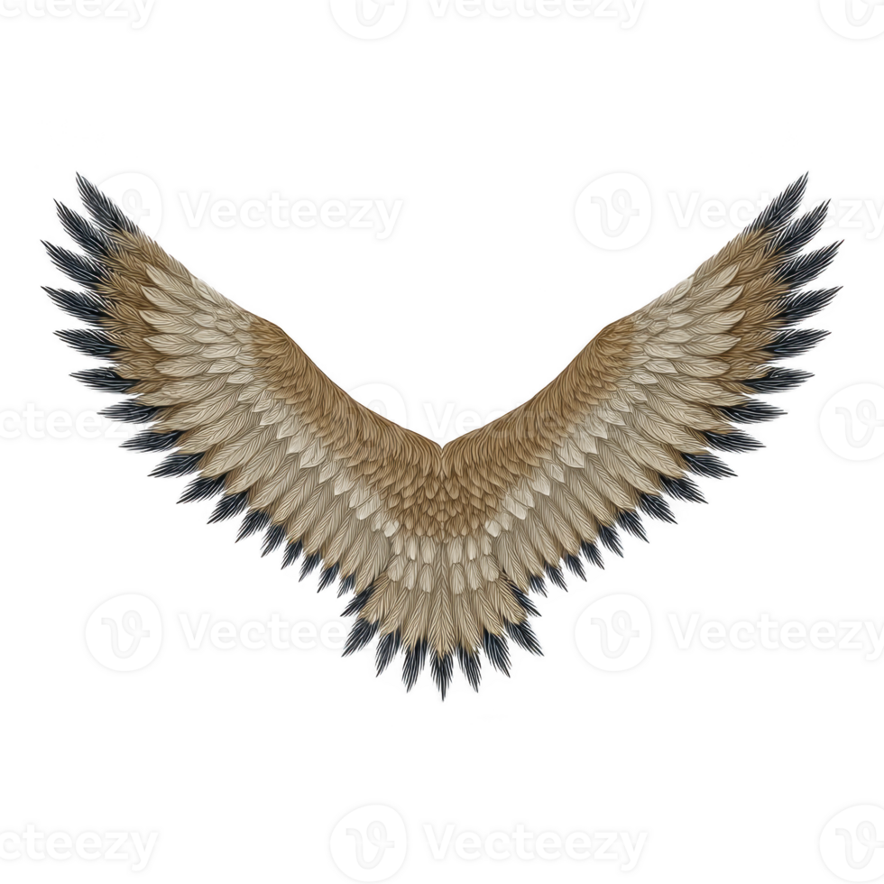 Pair of detailed, symmetrical bird wings with brown and gray feathers spread wide, showcasing intricate patterns and textures. wings convey sense of freedom and grace png