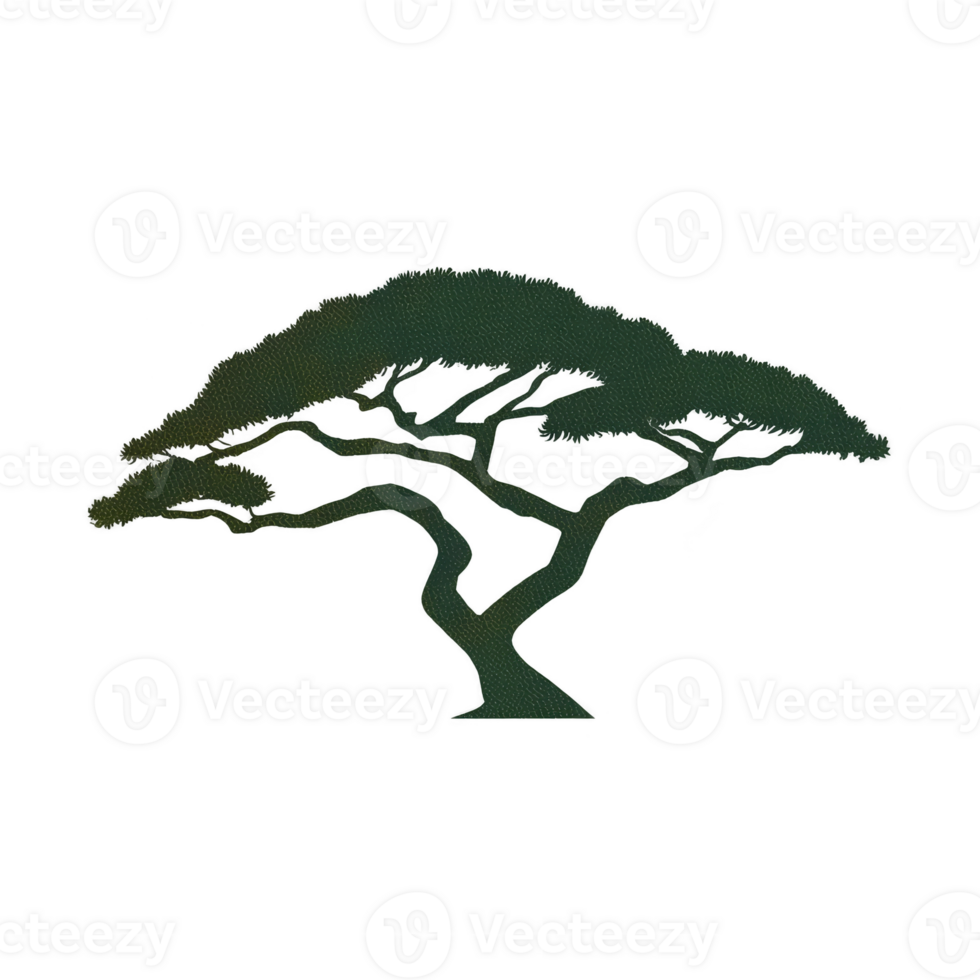Silhouette of tree with wide canopy and twisting branches creates striking and artistic design. dark green color adds depth and natural feel to image png