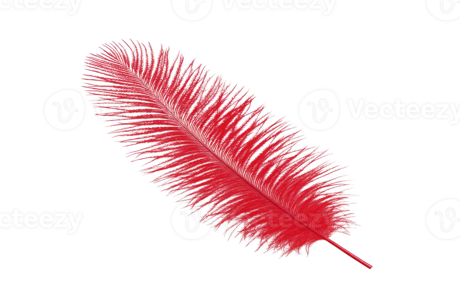 A vibrant red feather with intricate details and soft texture, isolated on transparency background, evokes sense of elegance and lightness png