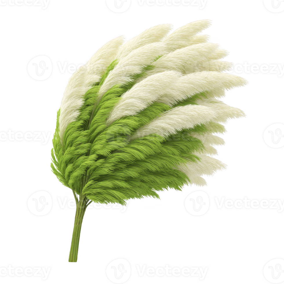 Bunch of fluffy, white pampas grass with green stems is arranged in fan shape, creating soft and elegant appearance. texture is feathery and delicate, perfect for decor png