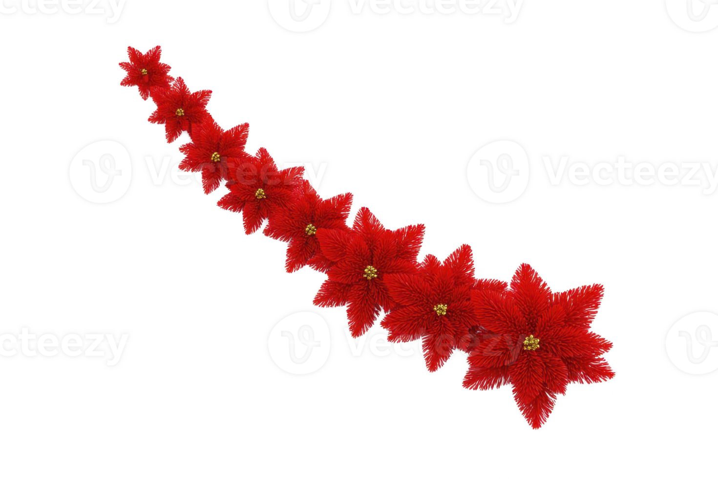 A vibrant garland of red poinsettia flowers arranged in curved line, creating festive and elegant decoration. bright red petals and yellow centers add touch of holiday cheer png
